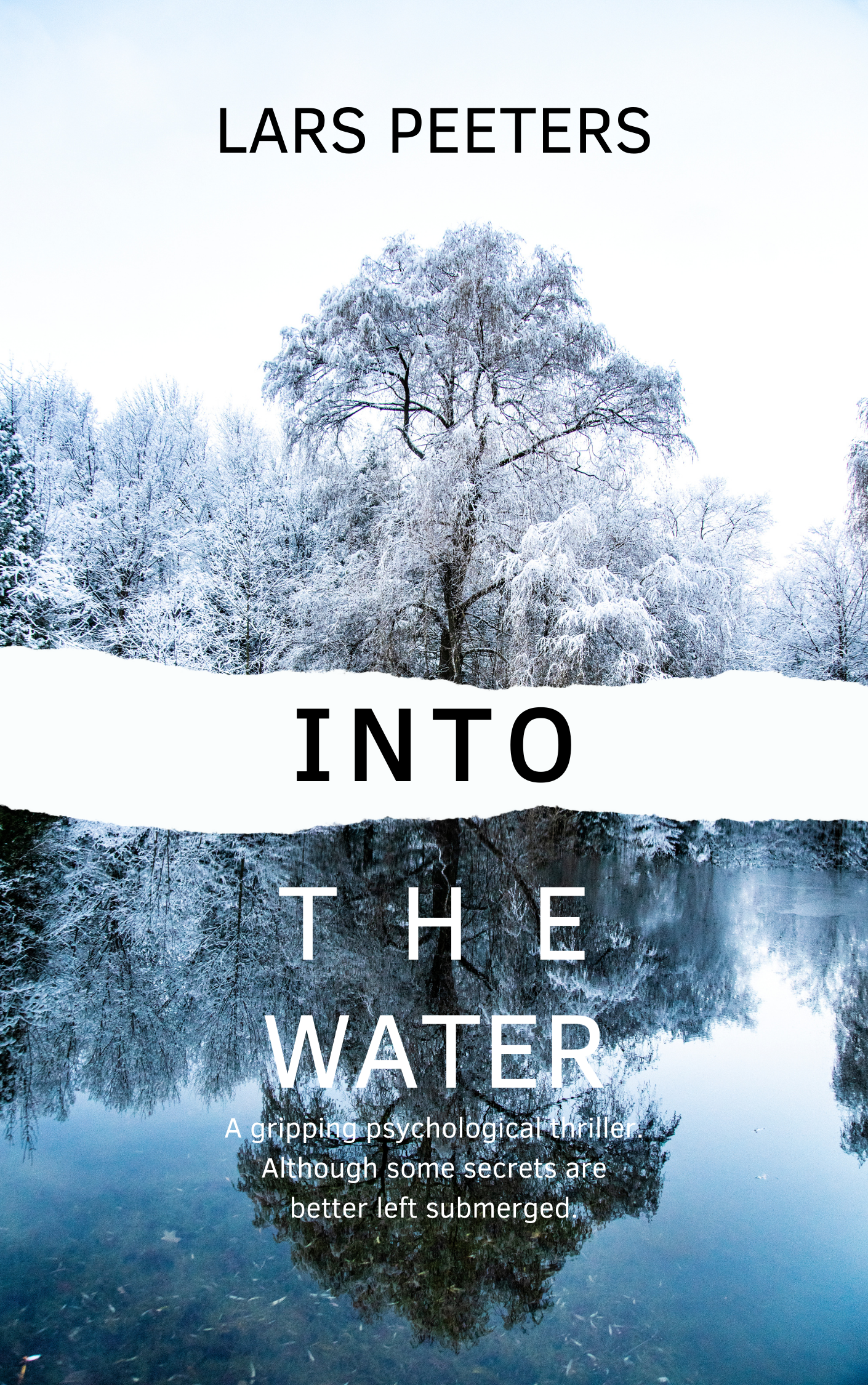 ArtenX Book Cover - Into The Water